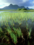 Ben Loyal from Lochan Hakel  Sutherland