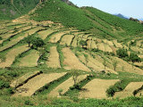 Hillside Terracing  China