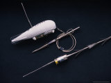 Two Different Satellite Devices for Tracking Bowhead Whales