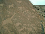 Bushmen Rock Engravings  Twyfelfontein  Namibia