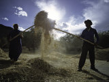 People Working  Tibet