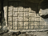 Leaves Rest in Front of Mayan Art  Mexico