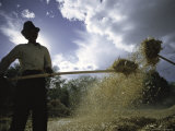Man Working  Tibet