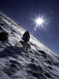 Man with Dog Climbing Arapahoe Peak in Strong Wind and Snow  Colorado