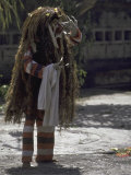 Dragon Costume  Indonesia
