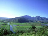 Poi Field  Hanalei  Hawaii