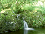 Aira Beck Between Falls of High Force and Aira Force  the Lake District  UK