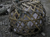 Pigs in a Basket  China