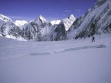 Western Comb  Nepal