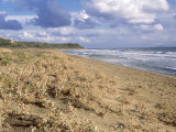 Kefalonia  the Beach at Katelios Bay  Nesting Beach for the Loggerhead Turtle