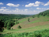 The Devils Punch Bowl  Hindhead  UK
