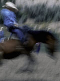 Horse Rider in Motion  USA