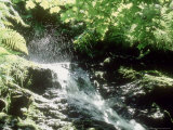 Comb Gill Flowing Down Toward Thirlmere  Cumbria  UK