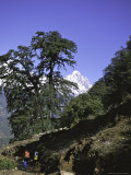 Kwandge Ri Landscape  Nepal