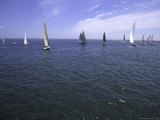 Sailboats in Ocean  Ticonderoga Race