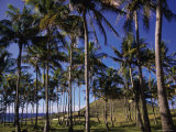 Anakena Beach  Easter Island  Chile