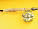 Fishing Rod and a Reel