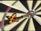 Dart on the Bull's-Eye of a Dart Board