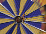 Dart on the Bull's-Eye of a Dart Board