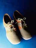 Pair of Bowling Shoes