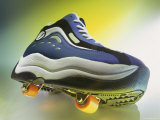 Shoe Skate