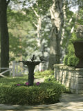 Birdbath and Planter