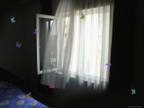 Bedroom Breeze with BUtterflies