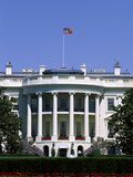 The White House Washington  DC USA