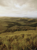 La Gran Sabana  Venezuela