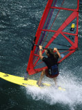 Windsurfer