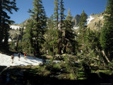 Ansel Adams Wilderness  California  USA