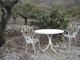 Table and Chairs Beside a Cactus Plant on a Hillside