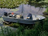 A Dog in a Boat on a Pond