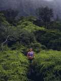 Maunawili Trail Hawaii  USA