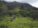 Maunawili Trail Hawaii  USA