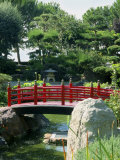 Japanese Garden  Monte Carlo  Monaco