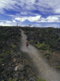 Volcano National Park  Hawaii  USA