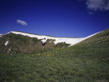 Continental Divide Trail  Colorado  USA