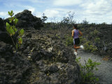 Volcano National Park  Hawaii  USA