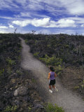 Hawaii Volcano National Park  Hawaii  USA