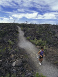 Volcano National Park  Hawaii  USA
