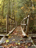 Olympic National Park  Washington  USA