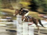 Fast Moving Show Jumper