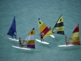 Five Windsurfers