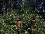 Yanomami Indian Hunters  Amazonas  Venezuela