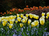 Sunken Garden  Butchart Gardens  Victoria  British Columbia  Canada