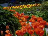 Sunken Garden  Butchart Gardens  Victoria  British Columbia  Canada