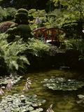 Japanese Garden  Canada