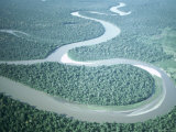 Aerial View of Amazon River and Jungle  Brazil