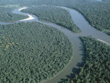 Aerial View of Amazon River and Jungle  Brazil